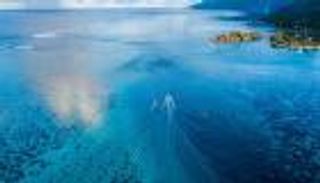 "الأونكتاد" تدعم الصفقات الزرقاء بقوة.. مسألة بقاء