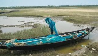 الجفاف - أرشيفية