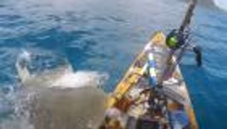 قرش ضخم كاد يفتك بصياد.. فيديو مرعب لـ"لحظات لا تصدّق"