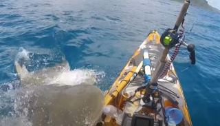 سمكة قرش تهاجم قارب صيد