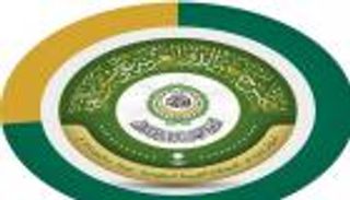 قمة جدة.. تعزيز التوافق العربي في مواجهة التحديات