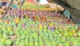 "قلب الثور" الأحمر يقود موسم المانجو في اليمن