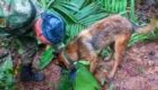 قصة "أطفال الأمازون".. "المعجزة" لم تحدث بعد (فيديو)