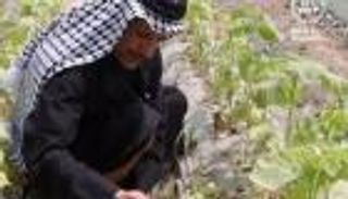 العراق والمناخ.. محاصيل زراعية تعاني قلة المياه والحرارة القياسية