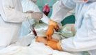 أجنحة الحشرات ترمم عظام البشر.. دراسة غير مسبوقة تفتح باب أمل