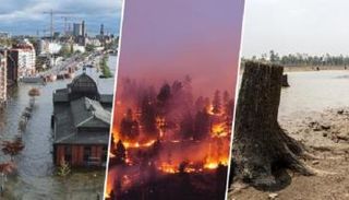 ما هي عواقب تغير المناخ على العالم الطبيعي