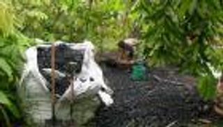 "الفحم الحيوي".. كيف يصبح أداة فاعلة لخفض الانبعاثات؟