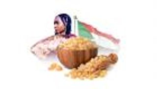 "الصمغ العربي" مُعطّل.. 5 ملايين سوداني ينتظرون الفرج (صور)