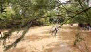 فيضانات وسيول في مدن جزائرية.. وانتشال جثتي طفلين