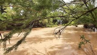 فيضانات الجزائر