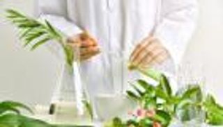 احذر قبل استخدامها.. هل هناك جدوى من المهدئات النباتية؟