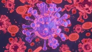 صورة للأمراض، المصدر: كانفا.