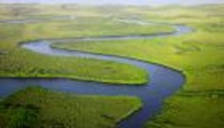 غامبيا بمهمة مناخية "مستدامة".. استعادة غابات المانجروف لمصايد الأسماك