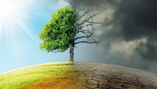 المسار العالمي لخفض الانبعاثات الكربونية