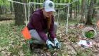 كيف تواجه الأشجار المجهدة تغيرات المناخ بـ"الصداقة الميكروبية"؟ (حوار)