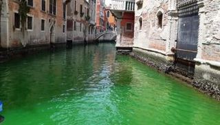 اخضرار مياه البندقية