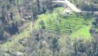 هل يمكن للأراضي الزراعية المهجورة التخفيف من تغير المناخ؟