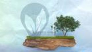 في حروب الدعم.. الإعانات الخضراء سلاح ذو حدين