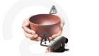 18 بؤرة ساخنة.. الأمم المتحدة تحذر من اجتياح الجوع لـ22 بلدًا