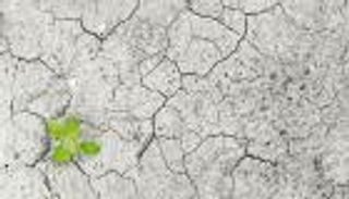 يدمر سلاسل إمداد الغذاء.. ما هو الجفاف السريع؟