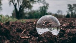 التغير المناخي والفيروسات، حقوق الصورة: كانفا.