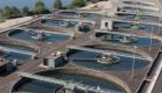 أيام عصيبة.. تونس تتحدى الجفاف بهذه الحيلة