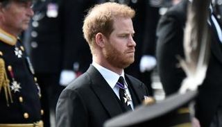 الأمير هاري