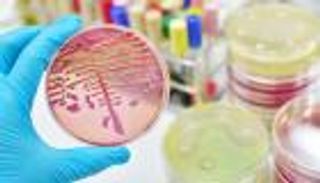 عدو الشباب والأطفال.. "المرض النادر" يعود للظهور