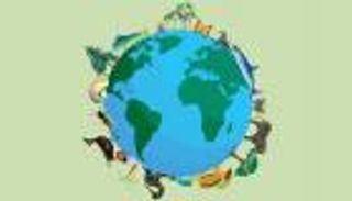 الإمارات والتنوع البيولوجي.. 4 قصص نجاح تعيد الأمل في عكس مسار التراجع