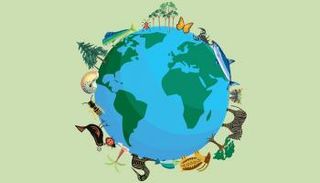 التنوع البيولوجي هو الأساس الذي يدعم الحياة على الأرض