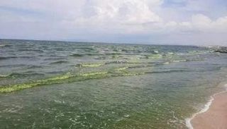 تغير. لون البحر في تونس