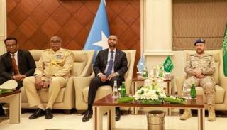 جانب من اللقاء السعودي الصومالي