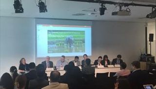 جانب من اجتماعات قمة بون - العين الإخبارية