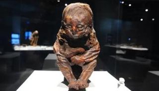 مومياء الطفل المتداولة عبر السوشيال ميديا