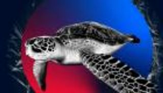 نادي برشلونة يطلق مجموعة NFT لمكافحة التلوث البلاستيكي