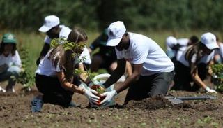 منظمة NobleLand