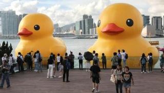 انفجار بطة عائمة في هونغ كونغ 