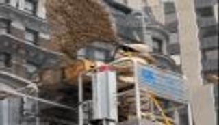 أسراب النحل تغزو سماء مدينة أمريكية.. والشرطة تتدخل (فيديو)