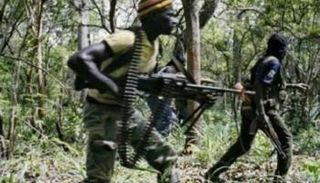 عناصر تابعة لمليشيا كوديكو