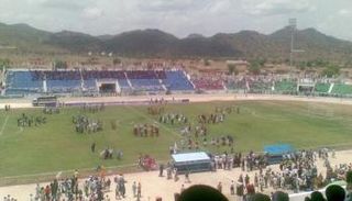 سرب نحل يهاجم ملعب كرة قدم - أرشيفية