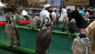 جانب من فعاليات المعرض