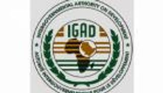 لقاء والتزام وتسوية شاملة.. خارطة طريق "إيغاد" لحل أزمة السودان