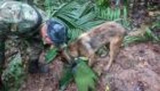 دولة بالكامل تبحث عن كلب.. والرئيس: لا تعودوا بدونه (صور)