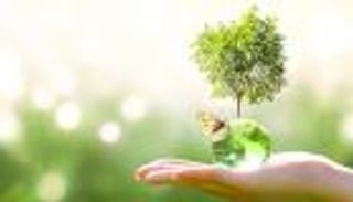 احتياجات الدول الفقيرة.. 4 ملفات استراتيجية على أجندة COP28
