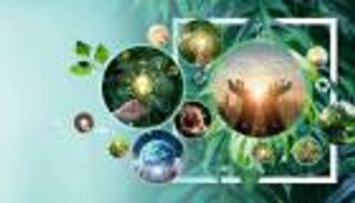 الدعم والأضرار والخسائر.. التمويل مسألة مبدأ في COP28