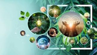 الأهمية البيئية للإمارات بصفتها الدولة المضيفة لكوب 28