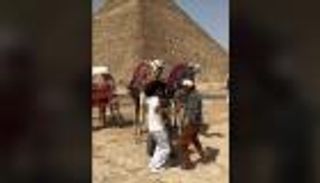 نويل روبيسون في مصر.. رقص على "المهرجانات" ودهشة لرؤية الأهرامات (فيديو)