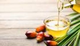 تحذير من زيت النخيل.. مخاطر صحية غير متوقعة