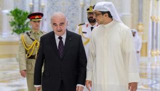 جانب من لقاء الشيخ منصور بن زايد آل نهيان ورئيس مالطا