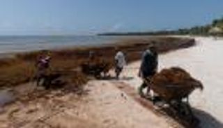 4 ظواهر "عنيفة".. تغير المناخ يعصف بشواطئ الولايات المتحدة